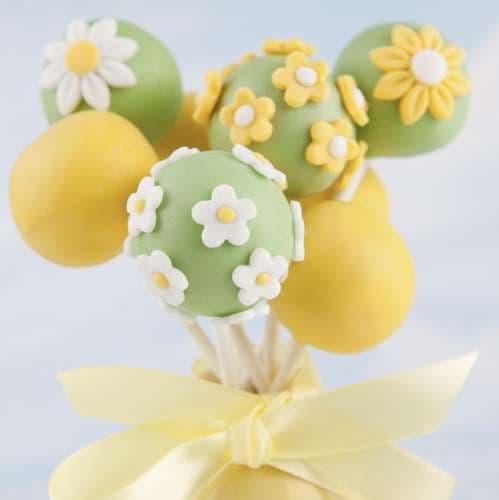 Silikonform Cakepops med 20 Pinnar | Kakor och Klubbor