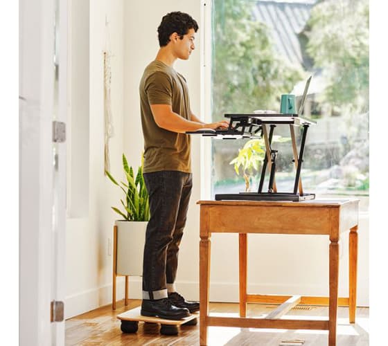 LifeSpan Fitness Balance Board AS3000