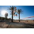 Miniatyrbild 3 av 4: Slackline Surferline Gibbon - 25m - Dynamiskt band - Robust spakspärr