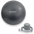 Miniatyrbild 1 av 2: Träningsboll - SCHILDKRÖT - Fitness och Yoga - Diameter 75 cm - Pump ingår