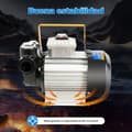 Miniatyrbillede 3 af 4: Selvprimende dieselpumpe, 550W effekt, 220V spænding, 60L/min flowrate