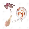Miniatyrbild 3 av 4: HTBE® Pink Rose Gold Glitter Dekorativa Ballonger Bröllopsfödelsedagsfest Romantisk Festlig Atmosfär Vackra Ballonger 30-pack
