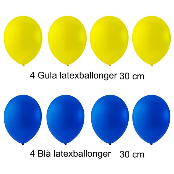 Student Dekorationer Studentfest Paket Ballonger, Girlanger, Examensdekorationer - Komplett Set för Studentmottagning