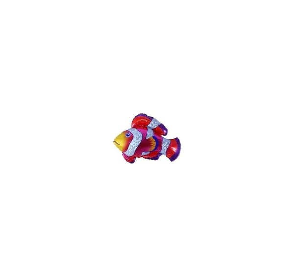 Form Clownfisk