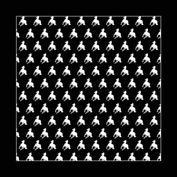 Deftones Unisex Bandana: White Pony