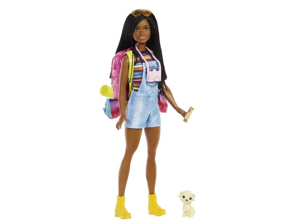 Barbie It takes two! Camping playset - Brooklyn doll, puppy and accessories