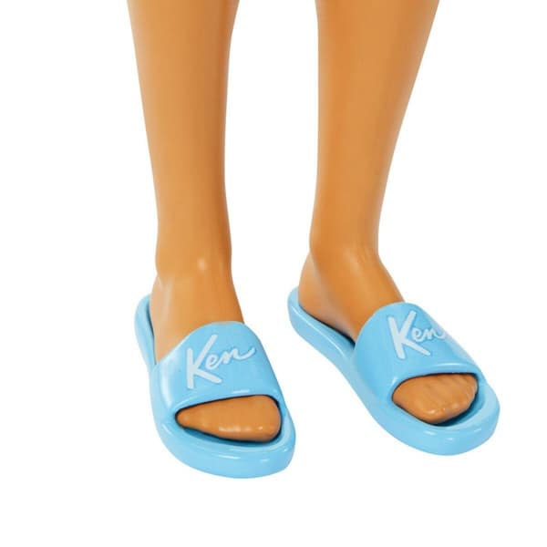 Barbie Beach Day Ken HPL74