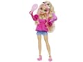 Pikkukuva 4 / 5: Mattel Barbie Dream Besties Malibu and accessories, doll