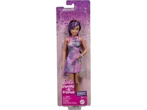 Barbie Family &amp; Friends Skipper doll in purple dress JBF41 MATTEL