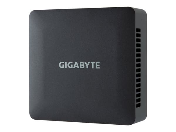 BRIX RAPTOR LAKE U I5-1335 SYST 2XDIMM M.2 2.5GLAN 4USB NOOS Sort