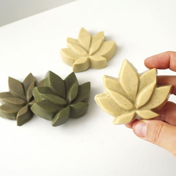 Kit DIY Schampo Fast - BIO - Nässla - Malvrot - Vegan - Blandad