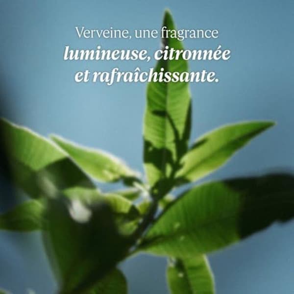 Savon Liquide - L'OCCITANE - Ekorefill Karité Verveine - 500 ml - Utan Parabener - Tillverkad i Frankrike