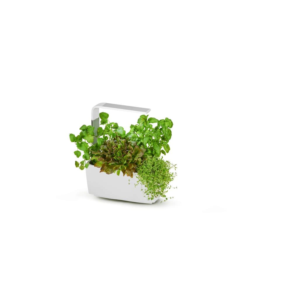 Tregren Kitchen Garden T6 Hvit