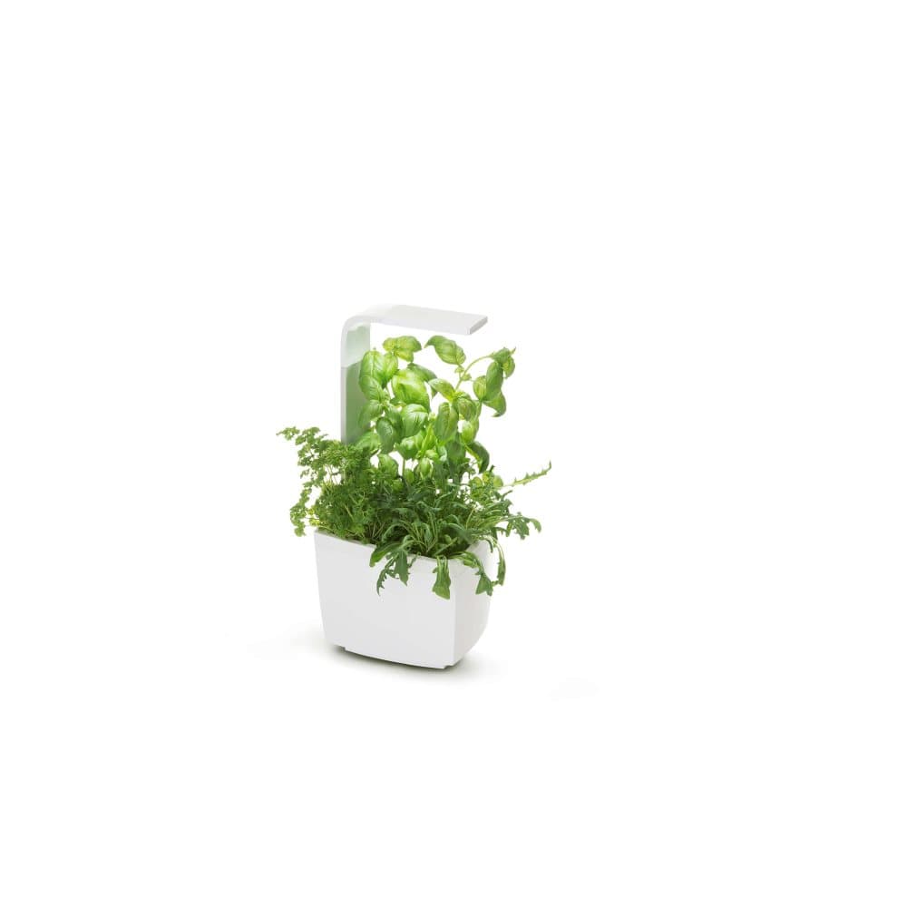 Tregren Kitchen Garden T3 Hvit