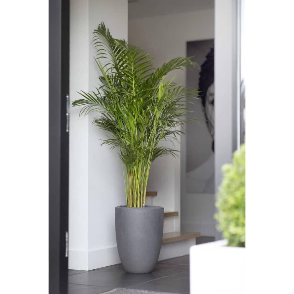 Capi Kruka Urban Smooth elegant låg 36x47 cm mörkgrå
