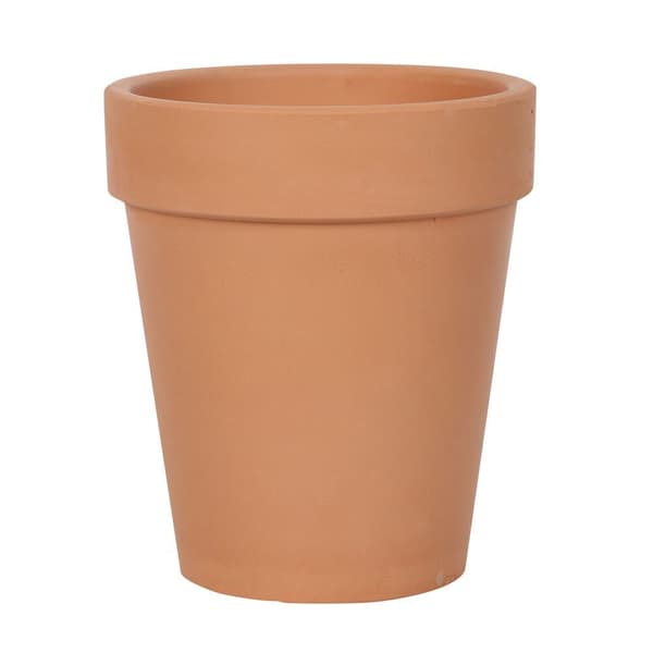 Something Different Bloom Where You Are Planted Terracotta Plant Pot