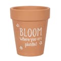 Pikkukuva 1 / 2: Something Different Bloom Where You Are Planted Terracotta Plant Pot