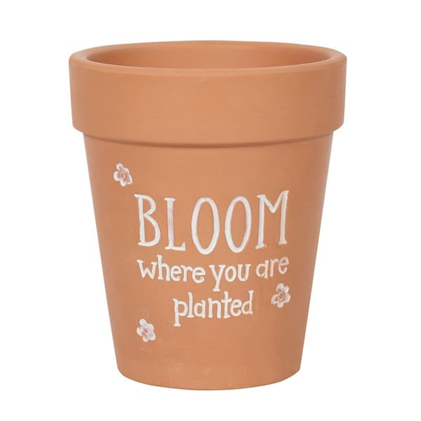 Something Different Bloom Where You Are Planted Terracotta Plant Pot Brown/White 17cm x 15cm x 15cm