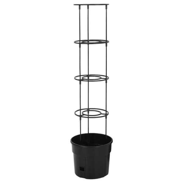 vidaXL Tomatpotte antrasitt Ø29,5x115 cm polypropylen