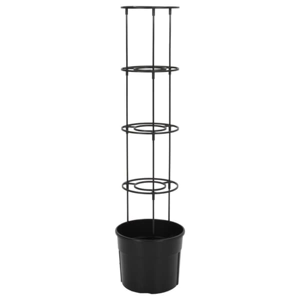 vidaXL Tomaattiruukku antrasiitti Ø29,5x115 cm polypropeeni