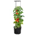 Pikkukuva 2 / 6: vidaXL Tomaattiruukku antrasiitti Ø39x150 cm polypropeeni
