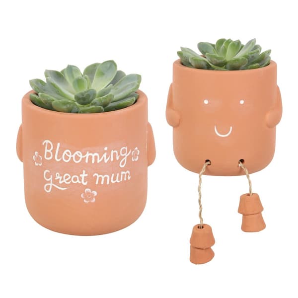 Something Different Blooming Great Mum Sitting Plant Pot