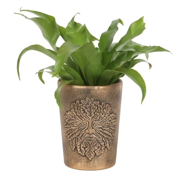 Lisa Parker Green Man Terracotta Plant Pot