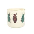 Miniatyrbilde 2 av 3: Something Different Whimsical Beetles Plant Pot