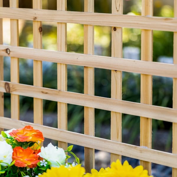 Plantekasse i tre med espalier for klatreplanter