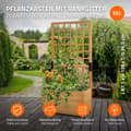 Miniatyrbillede 2 af 8: ML-Design plantekasse med espalier, 67,5×139×36,5 cm, brun, plantekasse med espalier, havespalier i massivt træ til klatreplanter, blomsterkasse