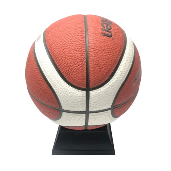 Molten 3800 Composite Basketball