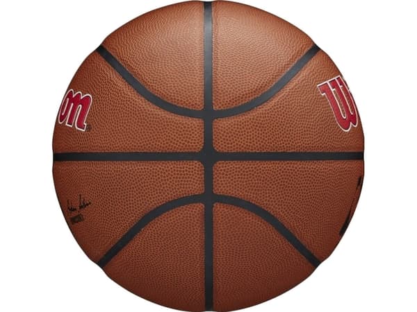 Wilson Wilson Team Alliance Toronto Raptors Ball WTB3100XBTOR Brązowe 7