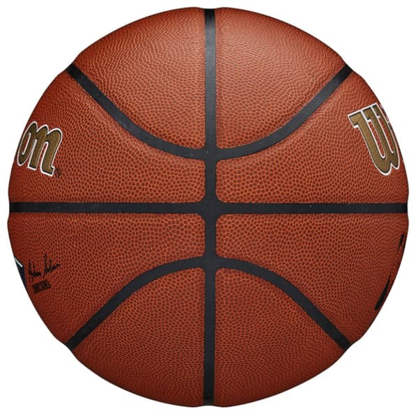 Wilson Team Alliance New Orleans Pelicans Ball WTB3100XBBNO, Basketball, Unisex, brun, Størrelse: 7