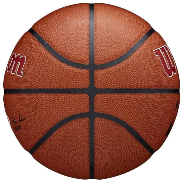 Wilson Team Alliance Portland Trail Blazers Ball WTB3100XBPOR, Basketball, Unisex, brun, Størrelse: 7