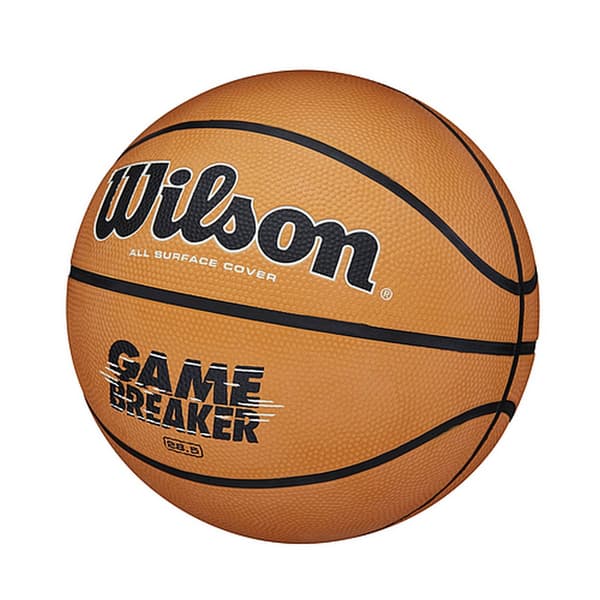Wilson Gamebreaker Basketball