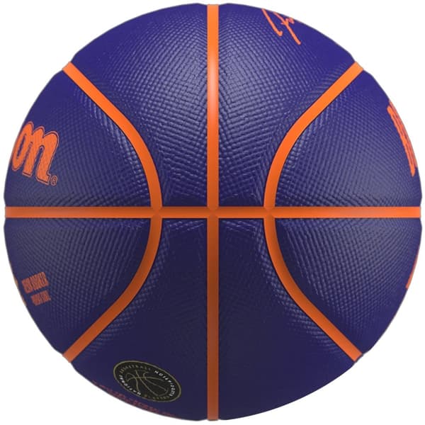 Wilson NBA Player Icon Devin Booker Mini Ball WZ4019801XB, Basketboll, Unisex, lila, Storlek: 3