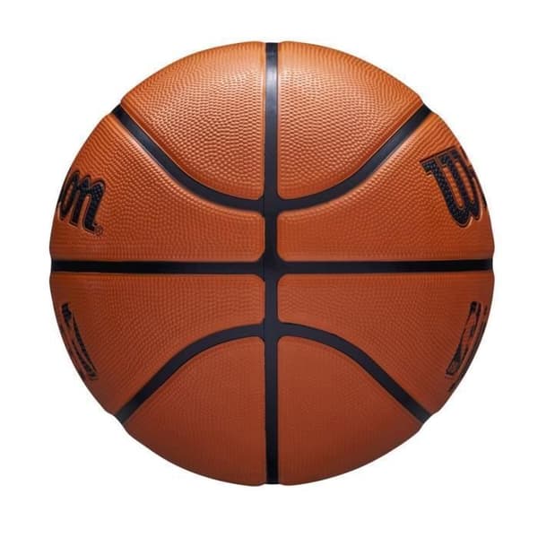 Wilson NBA-logoboll - brun - storlek 7