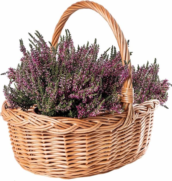 Flätad förvaringskorg - Picknickkorg - 35x30x35cm - 100 % naturligt - hållbart