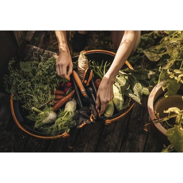 Fiskars Plus 1062831 hedelmä- ja vihanneskorjuukori