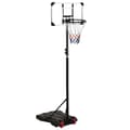 Miniatyrbild 1 av 2: Basketkorg transparent 216-250 cm polykarbonat