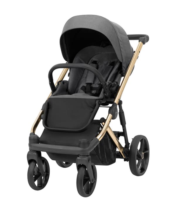 Arizo Premium Gold/Graphite