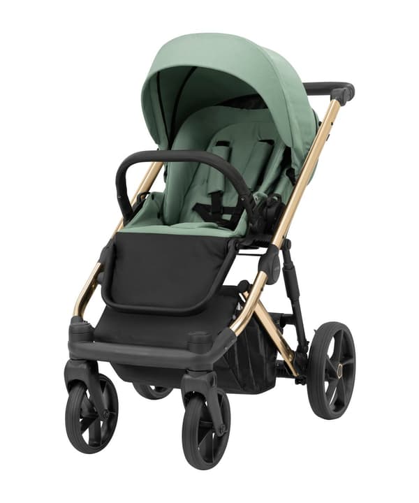 Arizo Premium Gold/Mint
