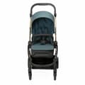 Miniatyrbillede 1 af 6: Baby's Pushchair Chicco