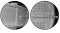 Miniatyrbild 5 av 11: 3-i-1 Retro Classic Multifunktionell Barnvagnssits