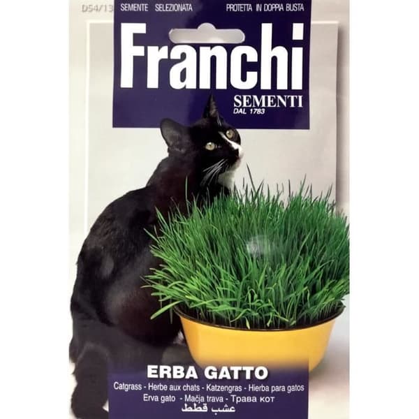 BUSTINA MISCUGLIO DI ERBA GATTO