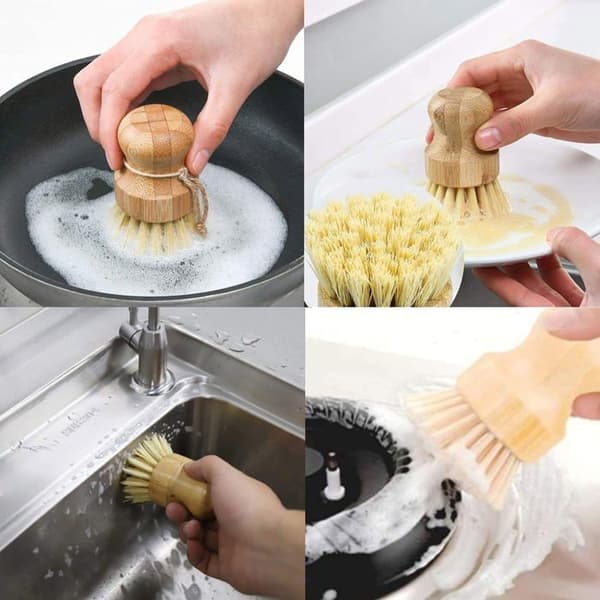 Brosse alimentaire Zhmkyd13 - 43P20038