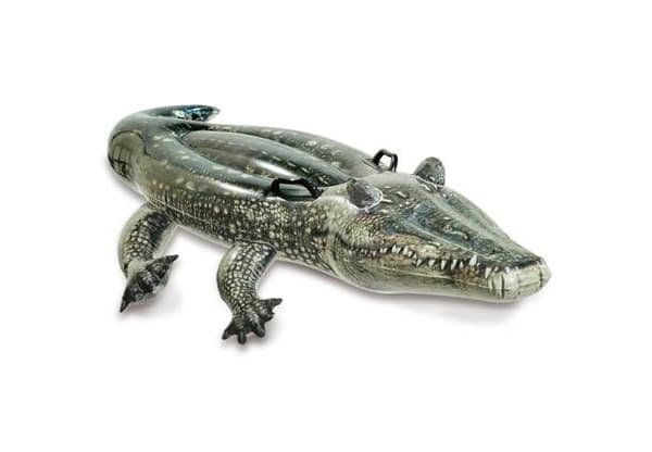 INTEX Alligator uppblåsbar åkbar boj - Mått 170 x 86 cm - För barn från 3 år och uppåt