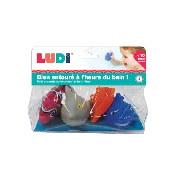 Baddjur Fisk Ludi