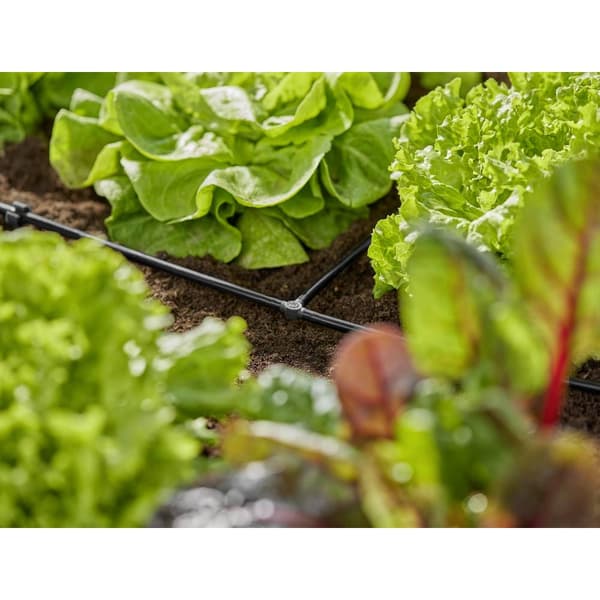 GARDENA 13211-20 Micro-Drip-System T-stycke 4,6 mm (3/16)