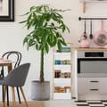 Miniatyrbild 3 av 6: Relaxdays badhylla, 4 våningar, i bambu och MDF, för badrum, Smal möbel HlP 88x30x18 cm, vit/natur